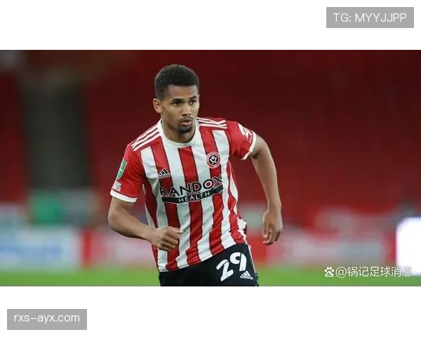 谢菲联重返英超梦成真,球迷欢呼期待新赛季挑战 谢菲联重返英超梦成真,球迷欢呼期待新赛季挑战