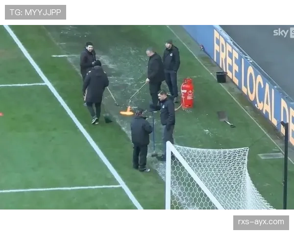 赫尔城黑橙虎新赛季强势出击,球迷翘首以盼亮眼表现 赫尔城黑橙虎新赛季强势出击,球迷翘首以盼亮眼表现