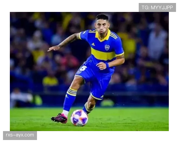 巴尔科拉位置不固定：战术角色与适配性解析